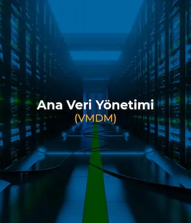 Ana Veri Yönetimi